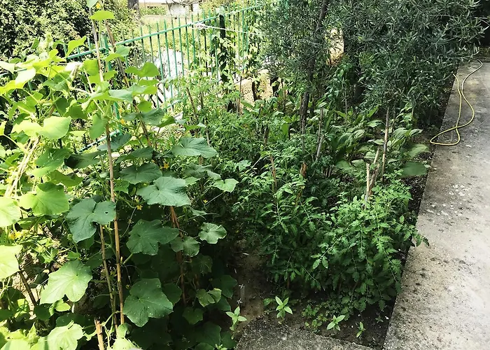 Flutura Vlorë